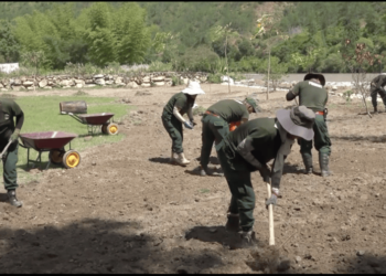 Punakha’s Dzomlingthang facelift promises better facilities